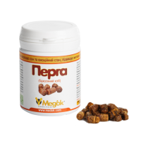 Перга Перга