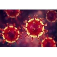 Как уберечь себя от коронавируса