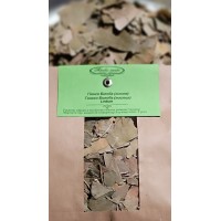 Гинкго билоба листья 