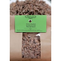 Сосна почки Сосна почки