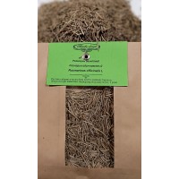 Розмарин обыкновенный Розмарин обыкновенный